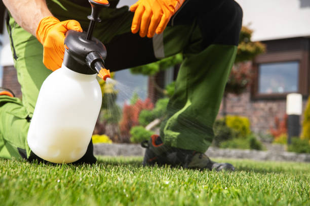 Best Ant Control Services  in West Branch, MI