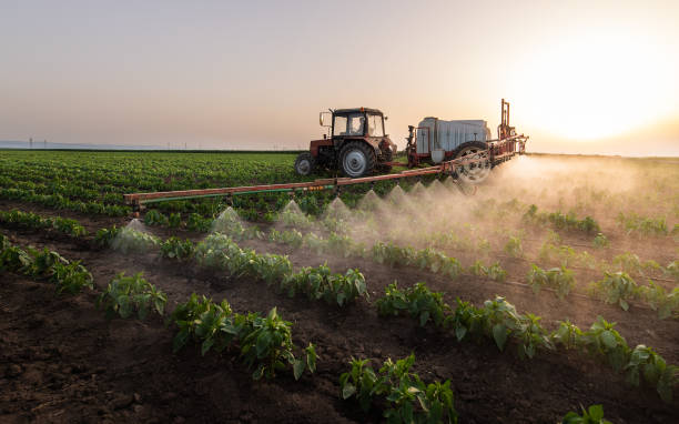 Insect Control in West Branch, MI