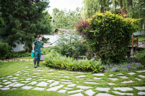Best Residential Pest Control  in West Branch, MI
