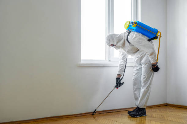 Best Emergency Pest Control  in West Branch, MI