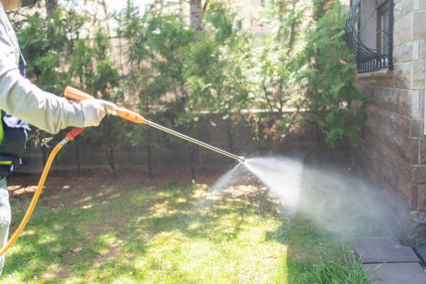 Professional Pest Control in West Branch, MI