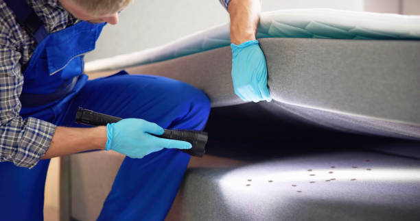 Best Pest Inspection Near Me  in West Branch, MI