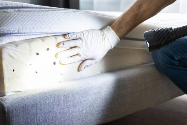 Best Best Pest Control Companies  in West Branch, MI