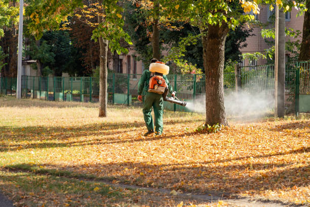 Best Pest Inspection Near Me  in West Branch, MI