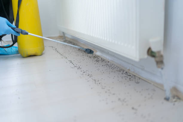 Pest Control Cost in West Branch, MI